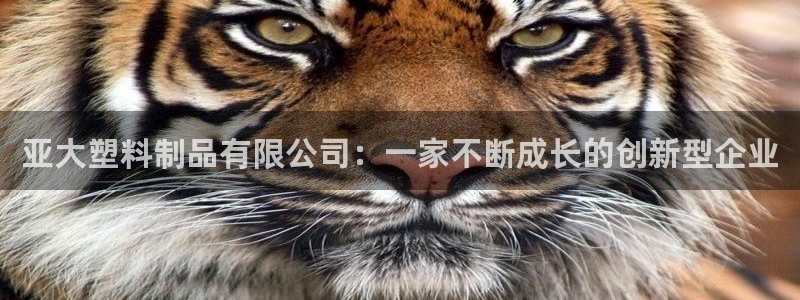 太阳sun网站：亚大塑料制品有限公司：一家不断成长的创新型企