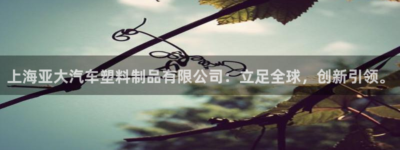 太阳集团电子游戏APP登录入口：上海亚大汽车塑料制品有限公司