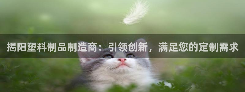 suncitygroup太阳集团：揭阳塑料制品制造商：引领创