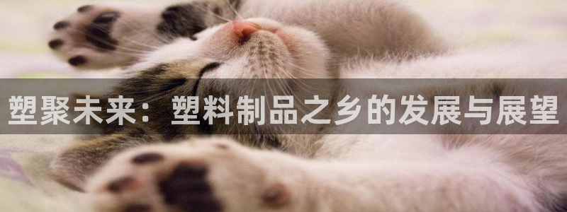 太阳集团城娱：塑聚未来：塑料制品之乡的发展与展望