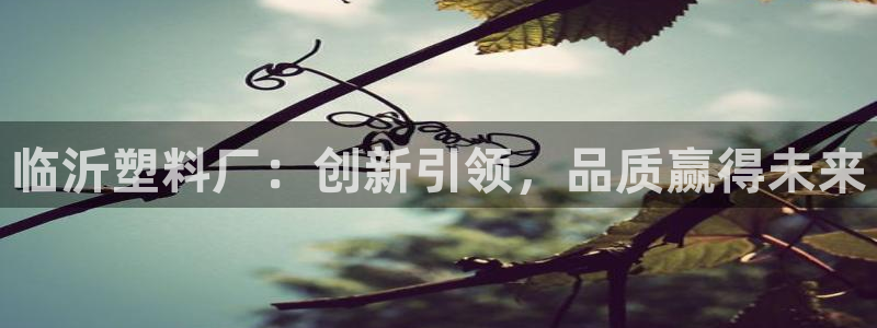 太阳app官方下载：临沂塑料厂：创新引领，品质赢得未来