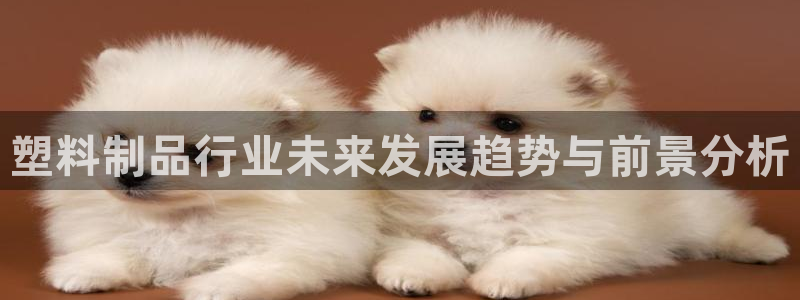 太阳集团app十佳平台：塑料制品行业未来发展趋势与前景分析