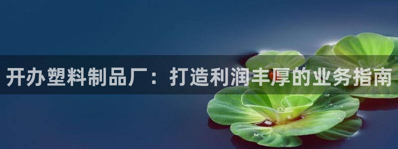 太阳集团城所有网址是多少：开办塑料制品厂：打造利润丰厚的业务