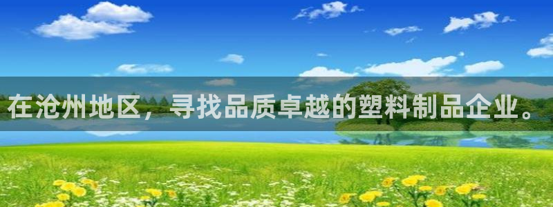 122cc太阳集成游戏官方网站：在沧州地区，寻找品质卓越的塑