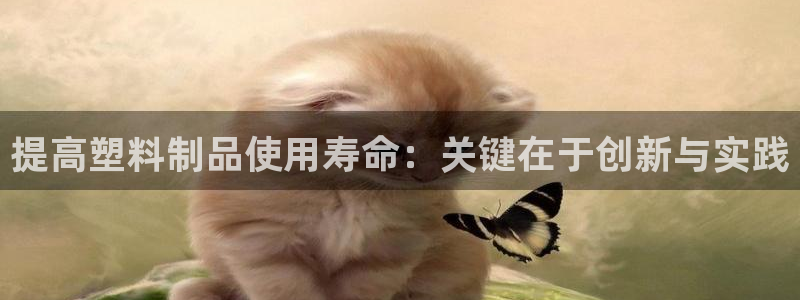 太阳集团网站视频：提高塑料制品使用寿命：关键在于创新与实践