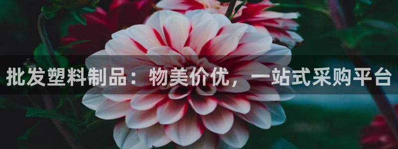 太阳集团城网址古天乐：批发塑料制品：物美价优，一站式采购平台