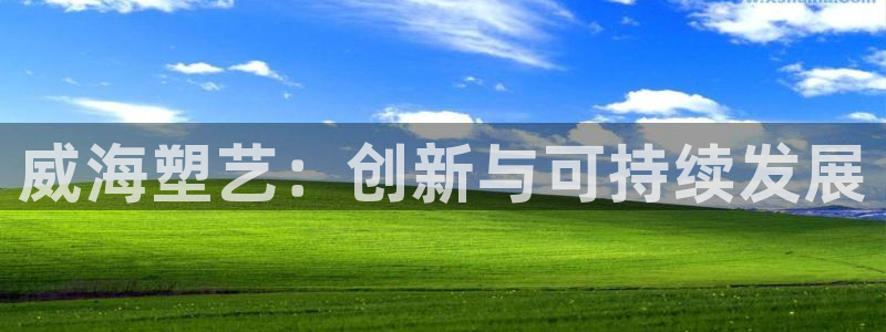 太阳集团在线：威海塑艺：创新与可持续发展