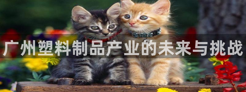 太阳诚集团视频：广州塑料制品产业的未来与挑战