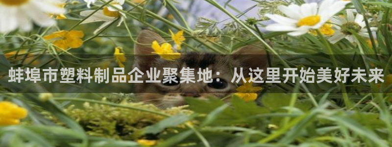 太阳http下载：蚌埠市塑料制品企业聚集地：从这里开始美好未