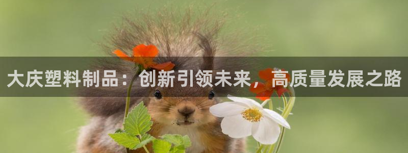 太阳集团网站入口官网：大庆塑料制品：创新引领未来，高质量发展