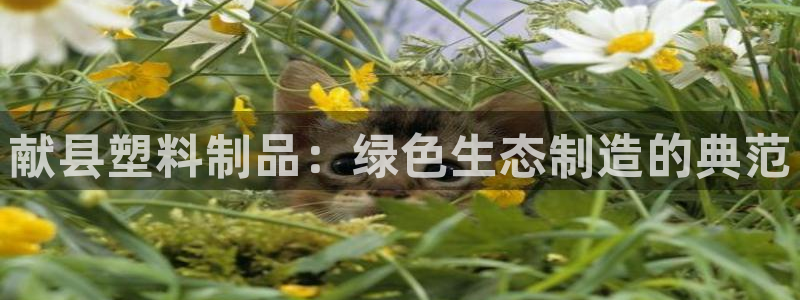 太阳集团电子游戏APP登录入口：献县塑料制品：绿色生态制造的