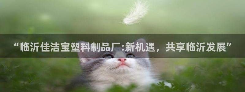 太阳 官网：“临沂佳洁宝塑料制品厂:新机遇，共享临沂发展”