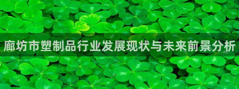 太阳app下载网址进入：廊坊市塑制品行业发展现状与未来前景分