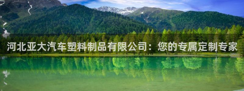 太阳集团游戏官方8722：河北亚大汽车塑料制品有限公司：您的