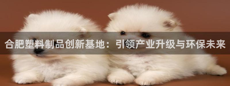 太阳成集团游戏：合肥塑料制品创新基地：引领产业升级与环保未来