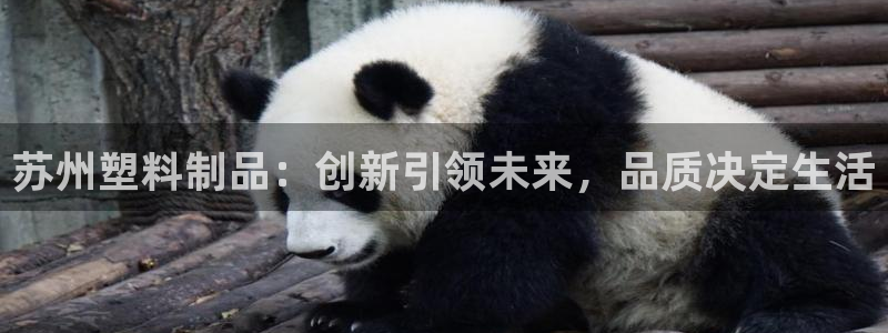 太阳电玩城下载：苏州塑料制品：创新引领未来，品质决定生活