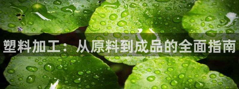 太阳集团电子游戏官网：塑料加工：从原料到成品的全面指南