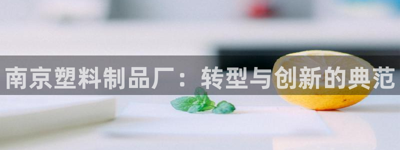 太阳集团董事长：南京塑料制品厂：转型与创新的典范