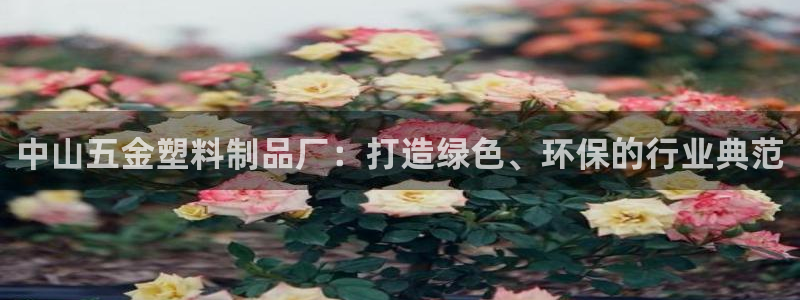 太阳集团城所有网址是多少：中山五金塑料制品厂：打造绿色、环保