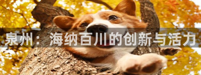 太阳gg注册登录：泉州：海纳百川的创新与活力