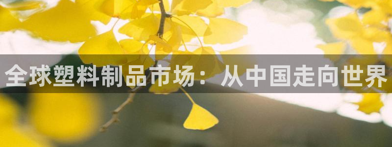 太阳阳城集团太阳卡：全球塑料制品市场：从中国走向世界