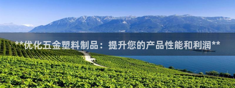 太阳集团控股有限公司：**优化五金塑料制品：提升您的产品性能