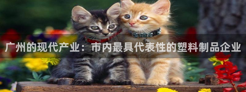 太阳集团首页：广州的现代产业：市内最具代表性的塑料制品企业