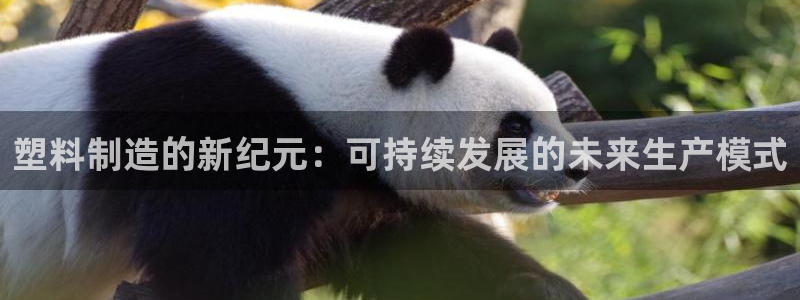 太阳集团控股有限公司：塑料制造的新纪元：可持续发展的未来生产