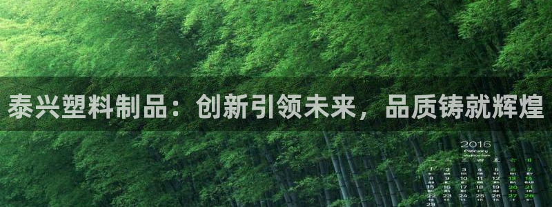 太阳集团娱乐官方网站下载：泰兴塑料制品：创新引领未来，品质铸