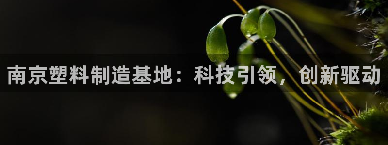 suncitygroup太阳集团--官方网站：南京塑料制造基