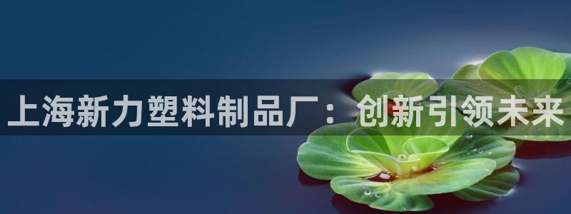 太阳集团是什么平台?：上海新力塑料制品厂：创新引领未来