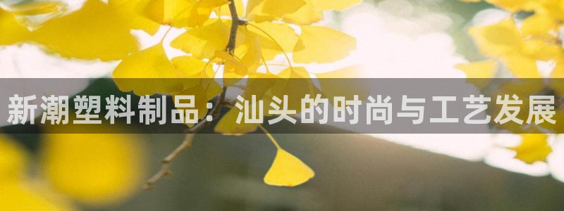 太阳成集团网站005：新潮塑料制品：汕头的时尚与工艺发展