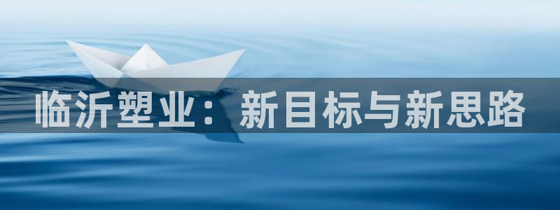 太阳集团在国内三个分公司：临沂塑业：新目标与新思路
