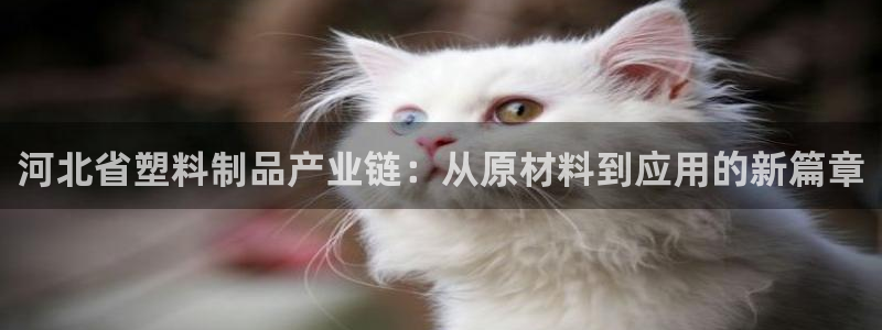 太阳科技集团：河北省塑料制品产业链：从原材料到应用的新篇章