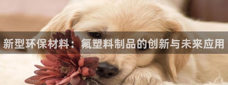 太阳集团2007：新型环保材料：氟塑料制品的创新与未来应用