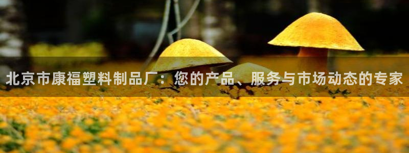 太阳集团城官方app：北京市康福塑料制品厂：您的产品、服务与