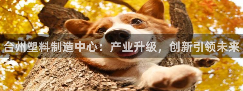 太阳http下载：台州塑料制造中心：产业升级，创新引领未来