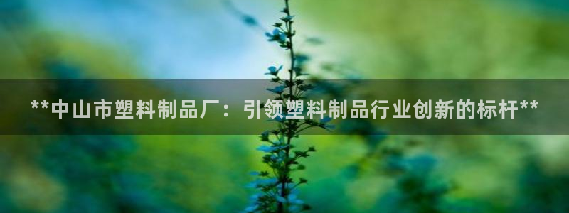 太阳成集团tyc9728：**中山市塑料制品厂：引领塑料制品