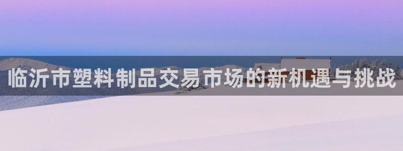 太阳成集团app：临沂市塑料制品交易市场的新机遇与挑战