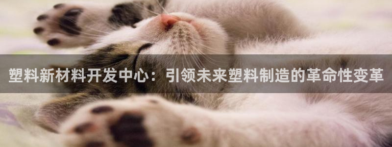 太阳集团是一家什么公司：塑料新材料开发中心：引领未来塑料制造