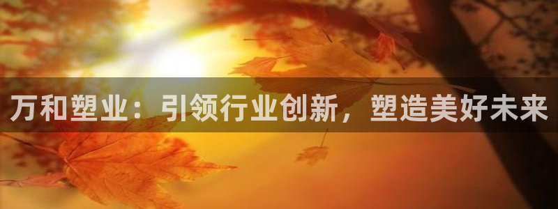 太阳集团游戏城旧版：万和塑业：引领行业创新，塑造美好未来