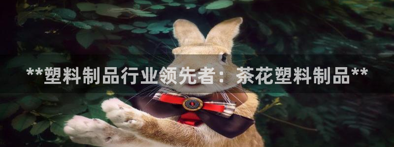 太阳诚集团所有网站：**塑料制品行业领先者：茶花塑料制品**