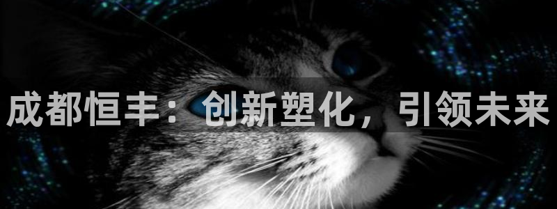 太阳集团总裁：成都恒丰：创新塑化，引领未来